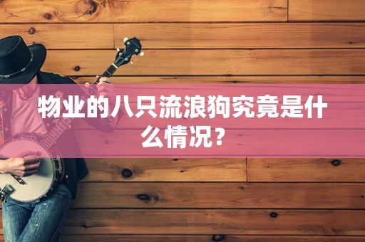 物业的八只流浪狗究竟是什么情况？