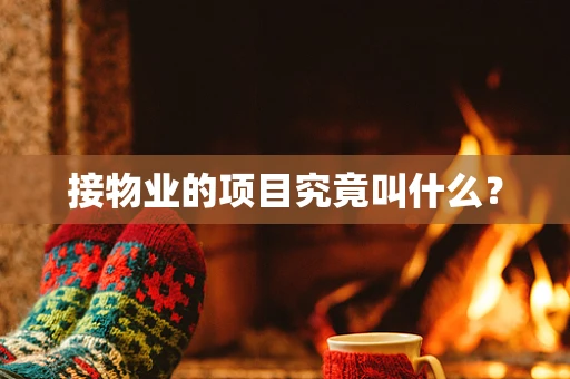 接物业的项目究竟叫什么？