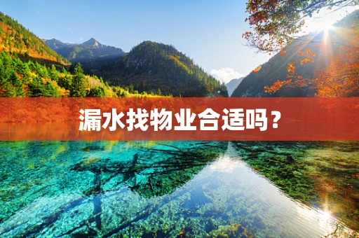 漏水找物业合适吗？
