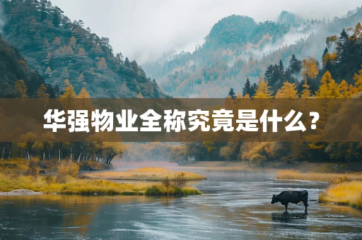 华强物业全称究竟是什么？