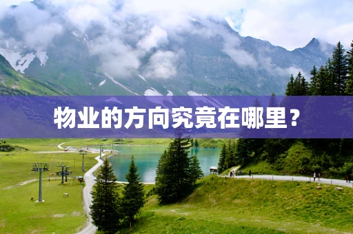 物业的方向究竟在哪里？