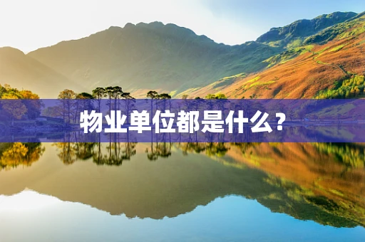 物业单位都是什么？