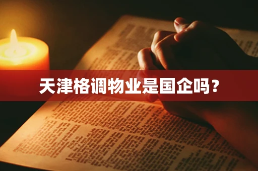 天津格调物业是国企吗？