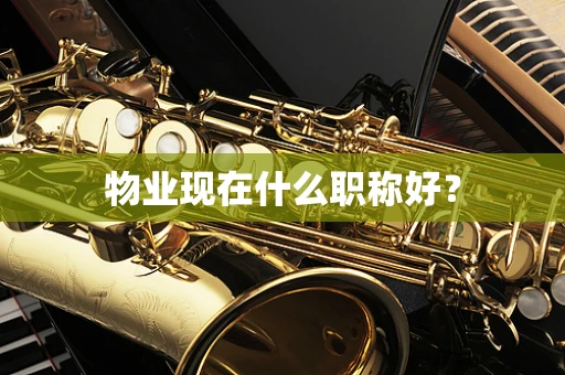 物业现在什么职称好？