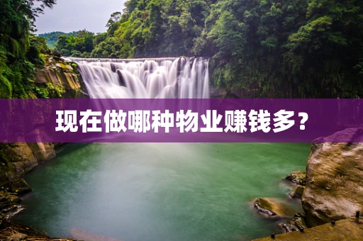 现在做哪种物业赚钱多？