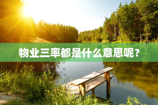 物业三率都是什么意思呢？
