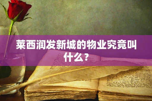 莱西润发新城的物业究竟叫什么？