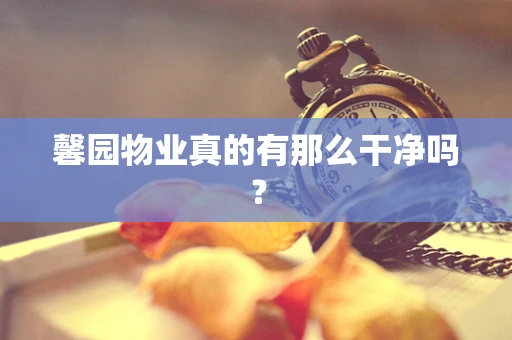 馨园物业真的有那么干净吗？