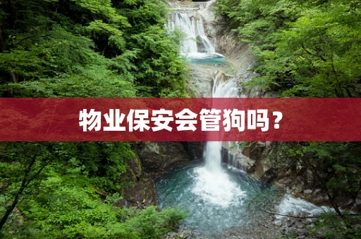 物业保安会管狗吗？