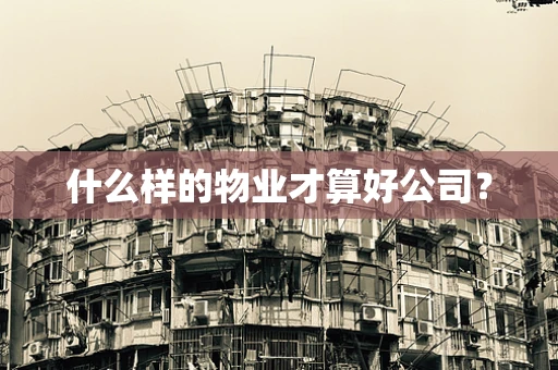 什么样的物业才算好公司？