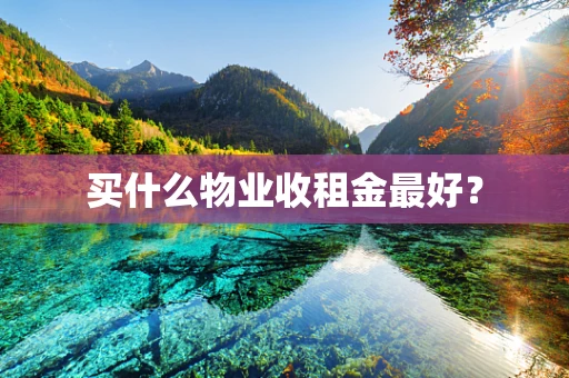 买什么物业收租金最好？