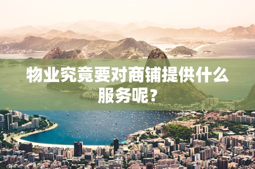 物业究竟要对商铺提供什么服务呢？