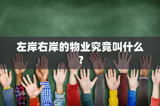 左岸右岸的物业究竟叫什么？