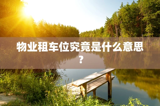 物业租车位究竟是什么意思？