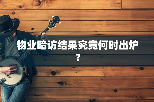 物业暗访结果究竟何时出炉？