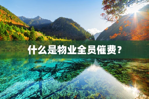什么是物业全员催费？