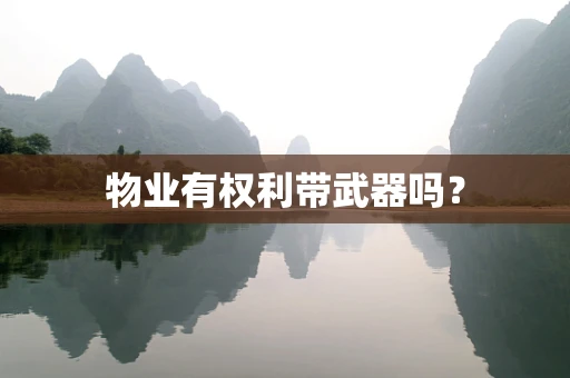 物业有权利带武器吗？