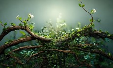 什么才能取消物业业绩呢？