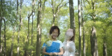 铂翠湾物业真的安全吗？