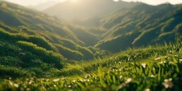 东瓜山三村物业会收费吗？