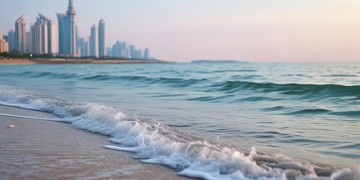 珠海取消物业是真的吗？