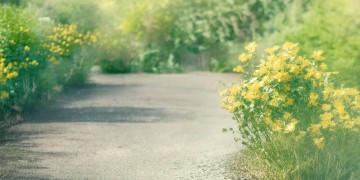 芜湖物业哪家强？答案在这里！